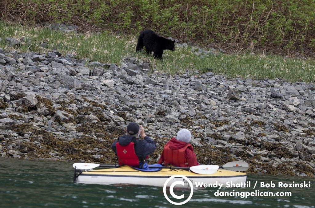 Best of Southeast Alaska