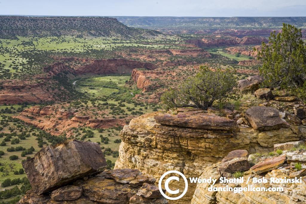 Purgatoire River canyon