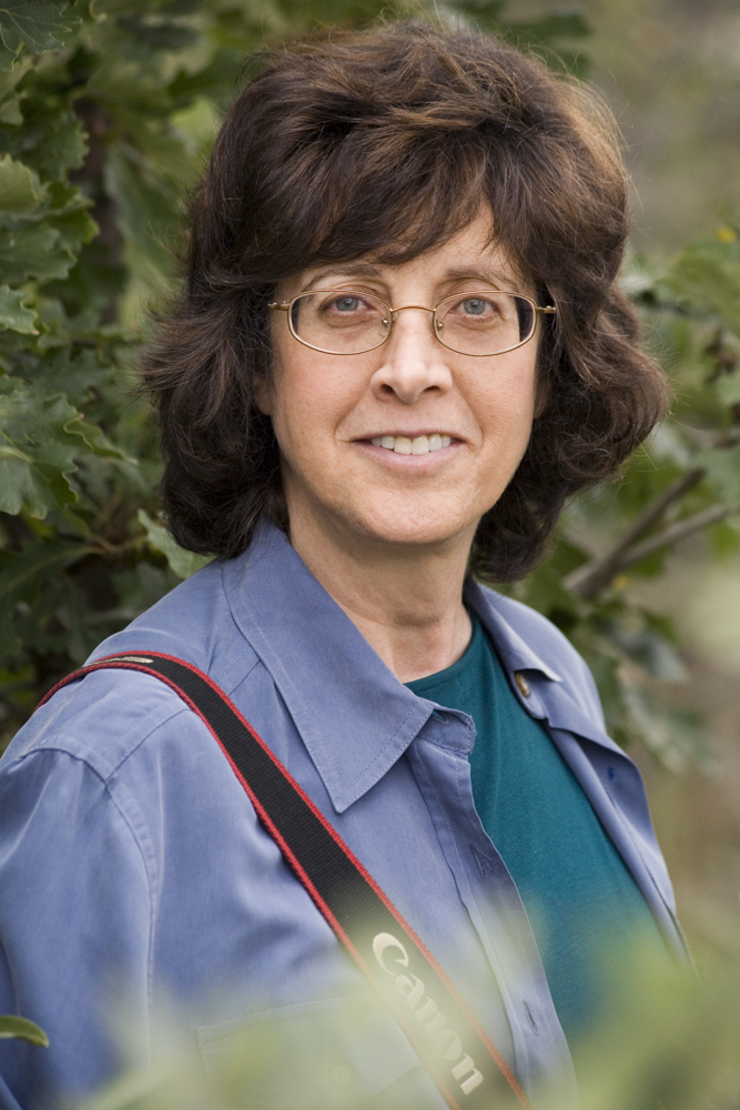 Wendy Shattil