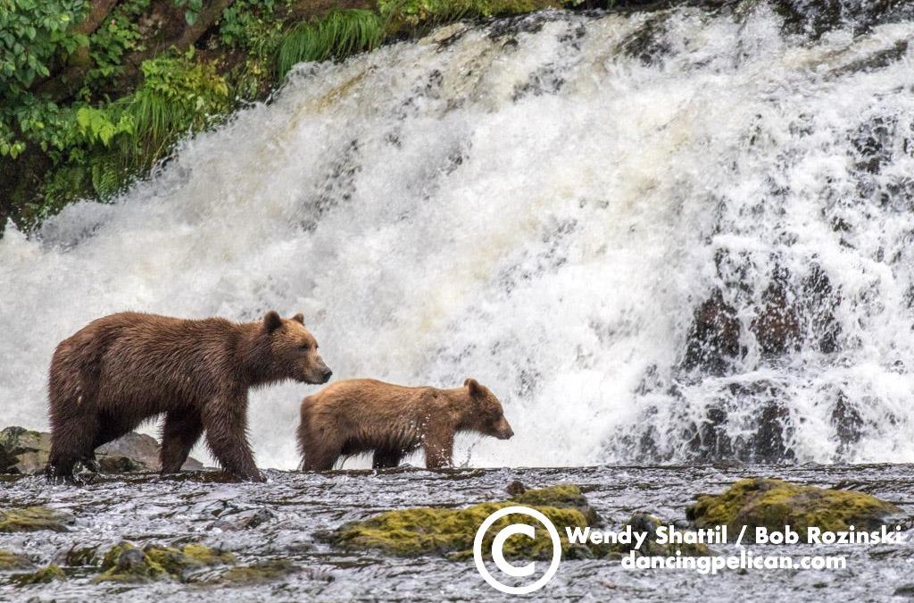 Best of Southeast Alaska